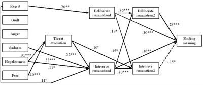 The Role of Rumination and Negative Affect in Meaning Making Following Stressful Experiences in a Japanese Sample